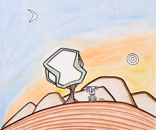 Contemplando los matices del desierto